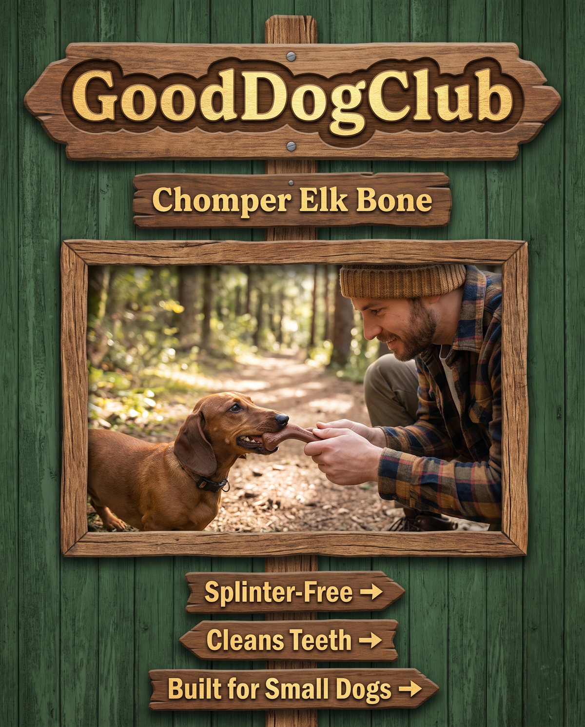Chomper Elk Bone trail-sign style ad, Dachshund forest trail (small dog, 6-7in bone)