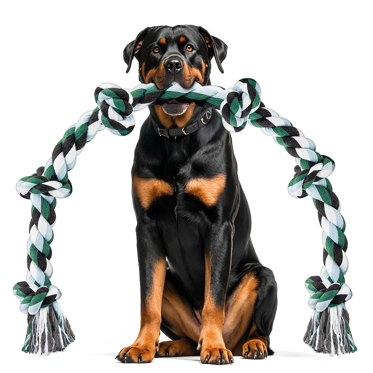 Chomper XXL tug rope—(20-100lbs+)