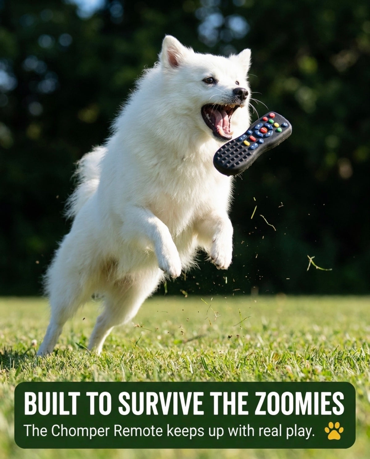 Chomper Remote—(15-35lbs) 3-Pack!