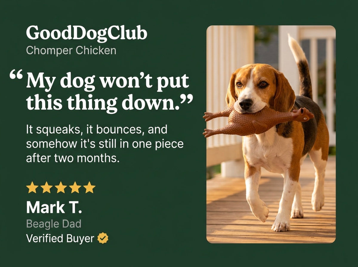 Chomper Chicken—(15-35lbs)3-Pack!