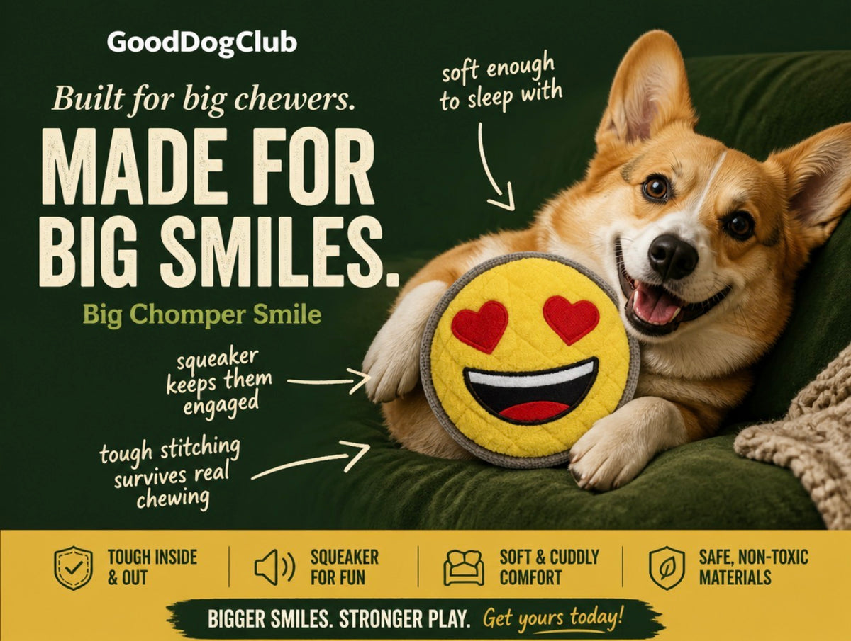 Big Chomper Smile—(15-35lbs)