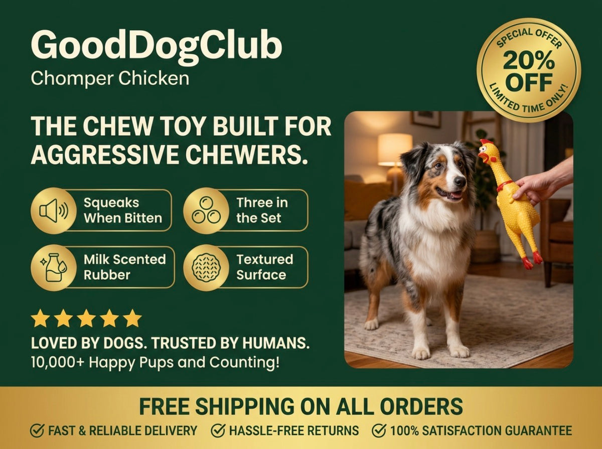 Chomper Chicken—(15-35lbs)3-Pack!