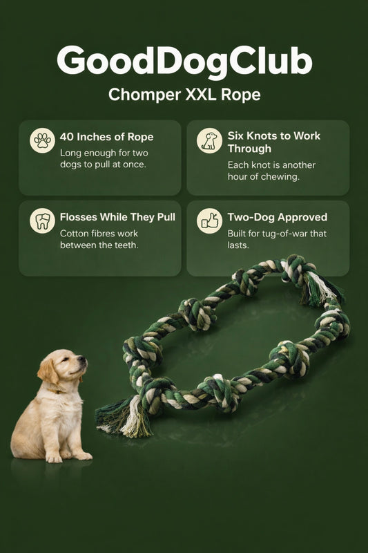 Chomper XXL tug rope—(20-100lbs+)