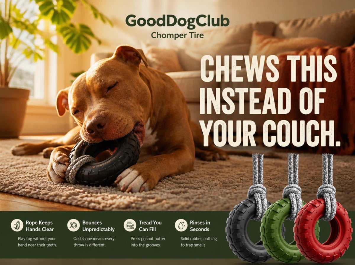 Chomper Tire—(20-100lbs+)