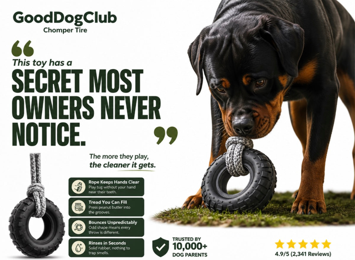 Chomper Tire—(20-100lbs+)