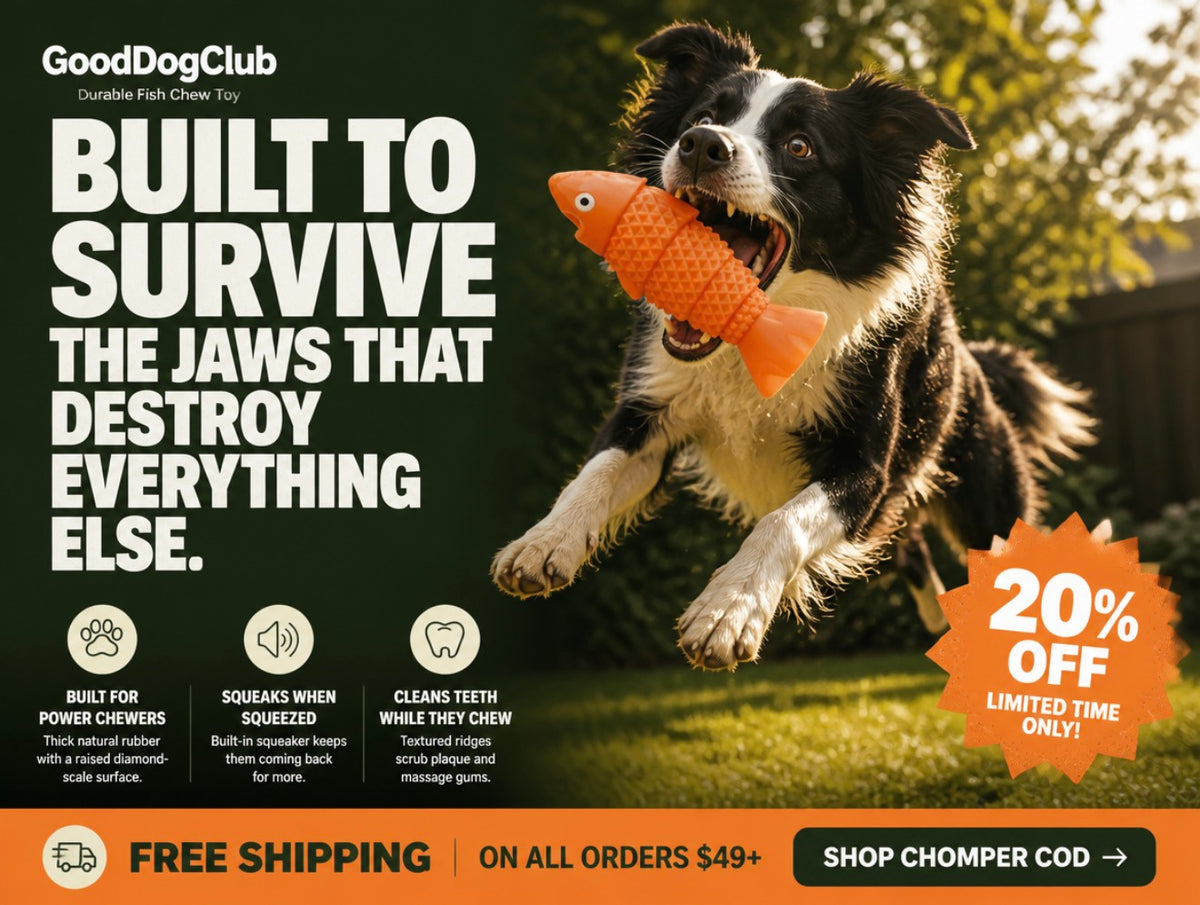 Chomper Cod 2-Pack—(20-100lbs+)