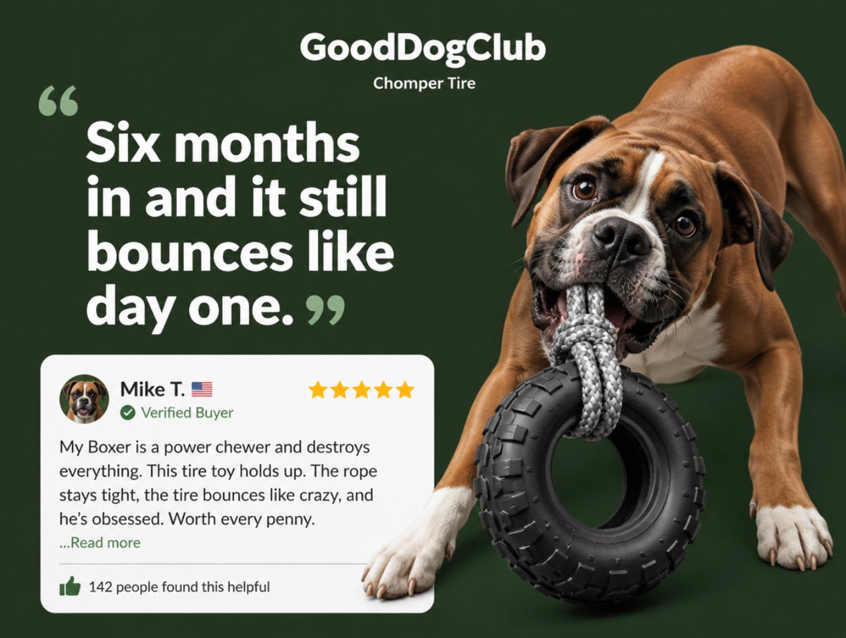 Chomper Tire—(20-100lbs+)