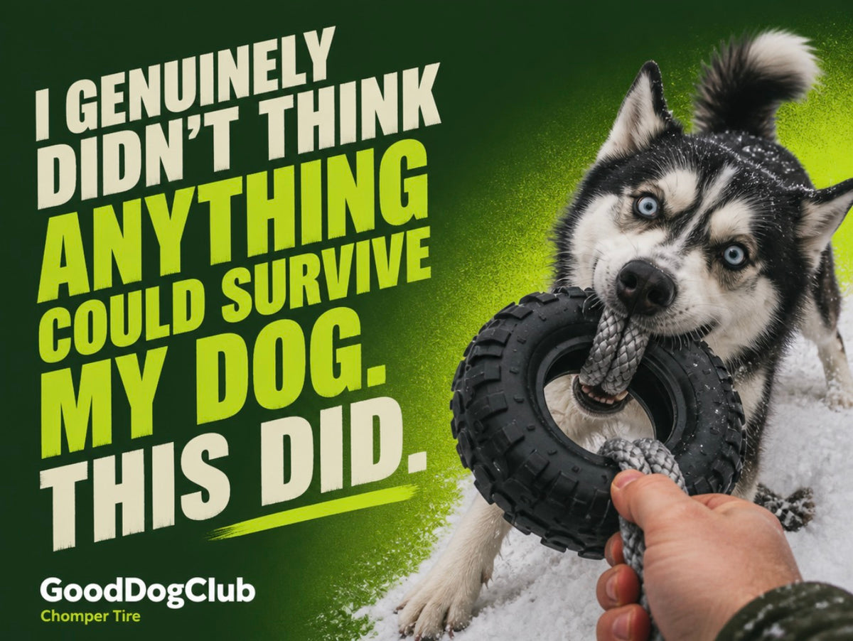 Chomper Tire—(20-100lbs+)