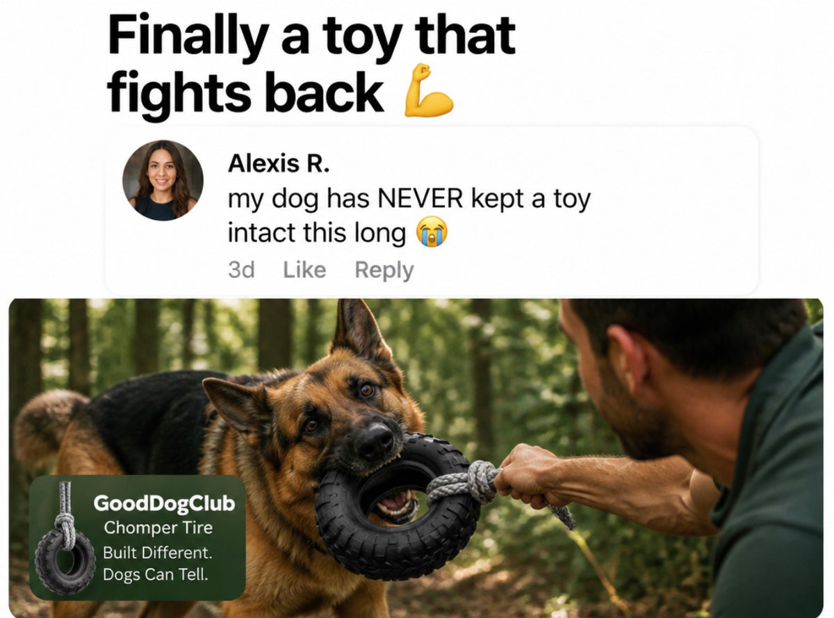 Chomper Tire—(20-100lbs+)