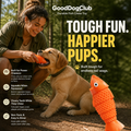 Chomper Cod dog toy with golden retriever puppy