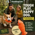 Chomper Cod dog toy with corgi and toddler