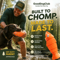 Chomper Cod dog toy with chocolate labrador