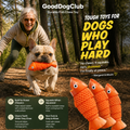 Chomper Cod dog toy with French bulldog