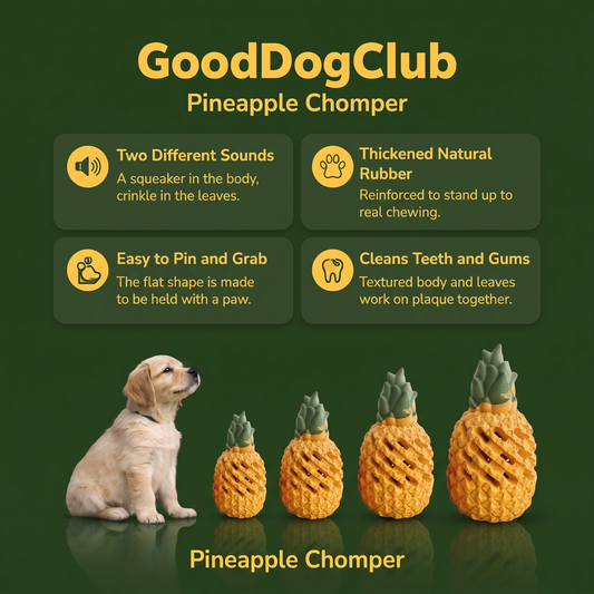 Chomper Pineapple 2-Pack benefits graphic, four sizes