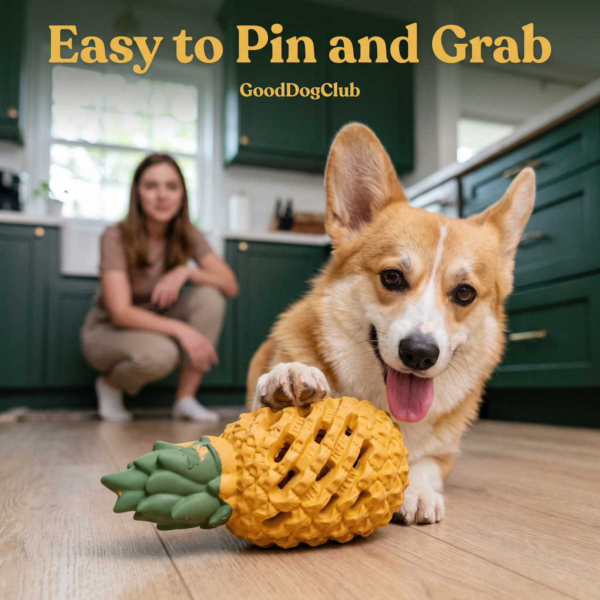 Corgi pinning toy with paw