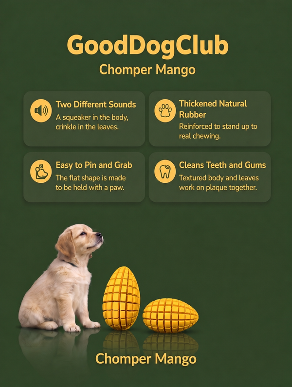 GoodDogClub Chomper Mango infographic with golden retriever puppy