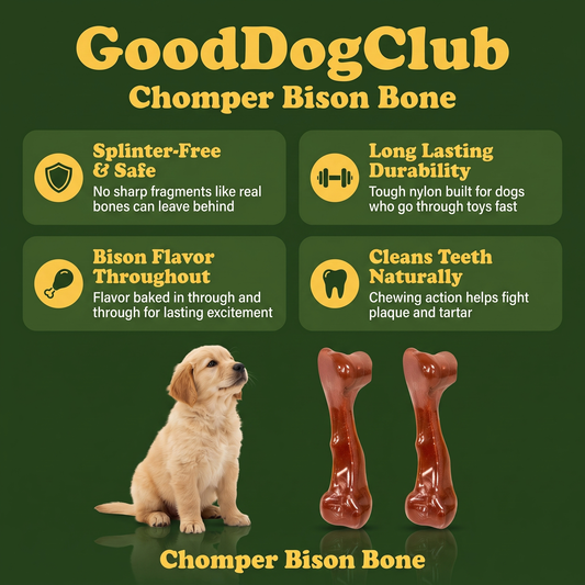 GoodDogClub Chomper Bison Bone infographic - splinter-free, long lasting, bison flavor throughout, cleans teeth
