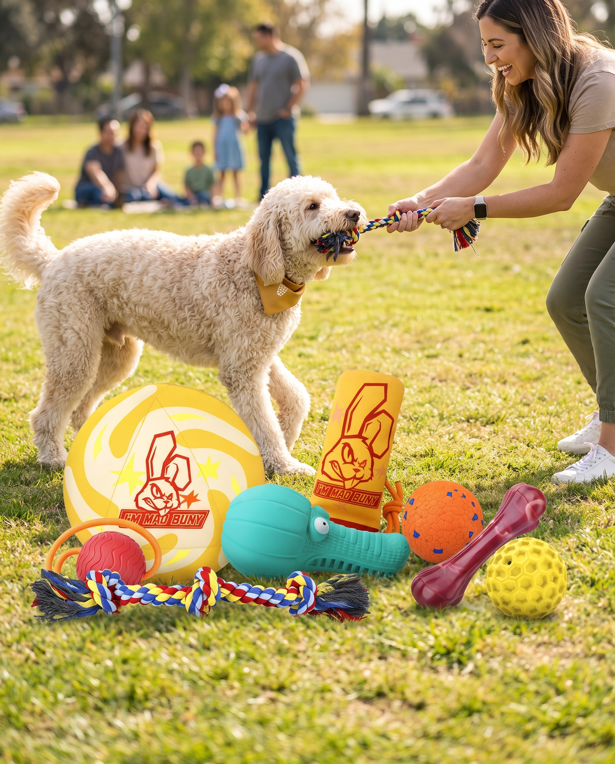 Goldendoodle playing fetch and tug at the park with Chomper Bundle toys