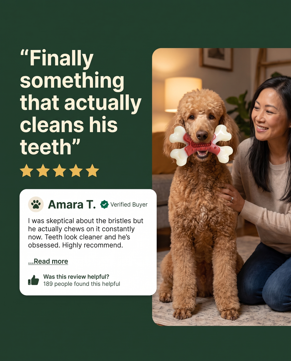 Standard Poodle with Chomper X Bone toy, verified buyer review testimonial ad graphic