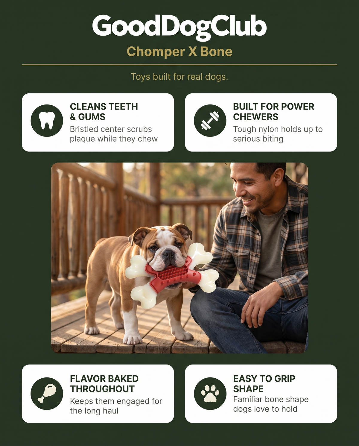 English Bulldog puppy with Chomper X Bone toy, 4-benefit infographic ad graphic