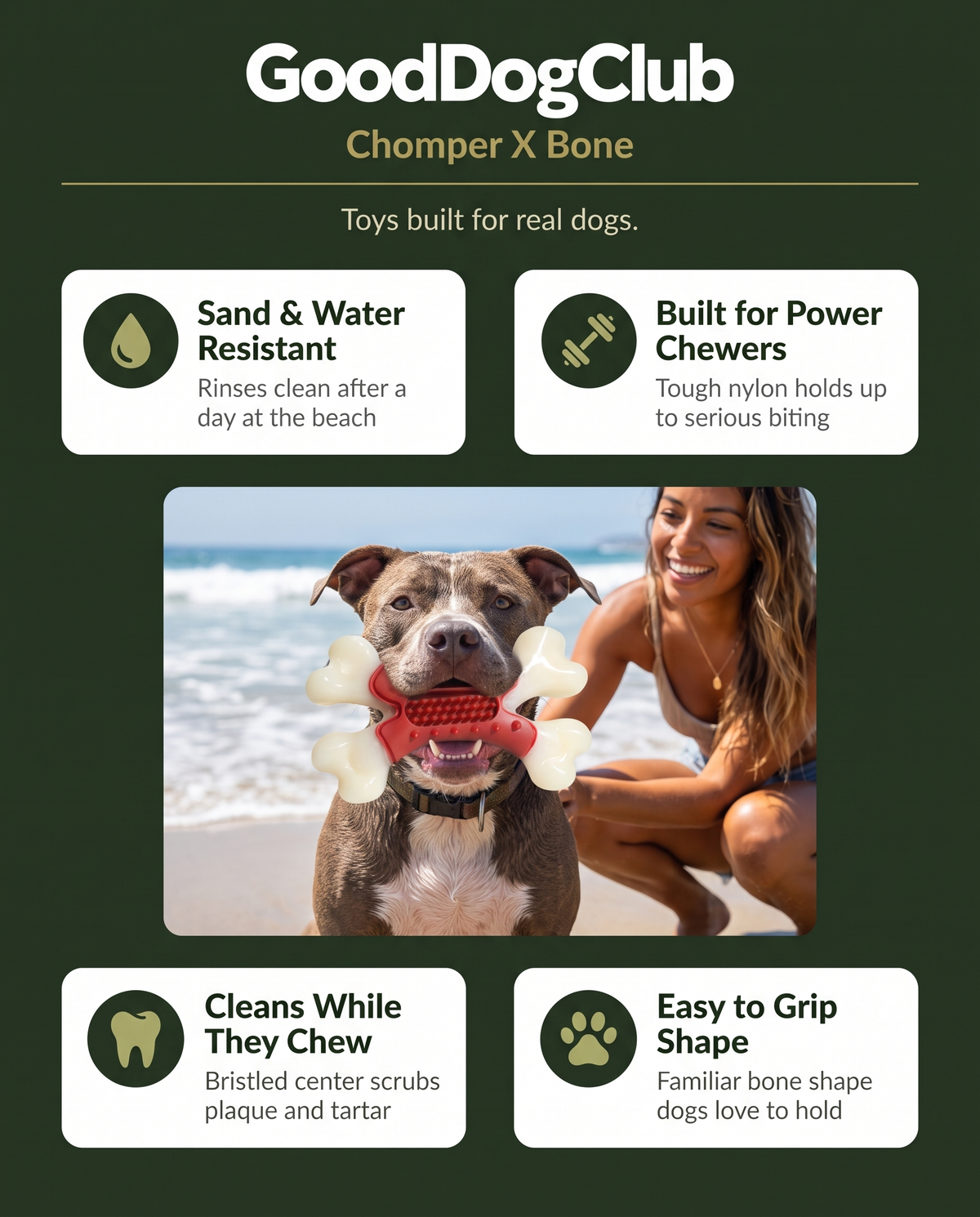 Pit bull mix with Chomper X Bone toy on the beach, 4-benefit sand and water resistant ad graphic