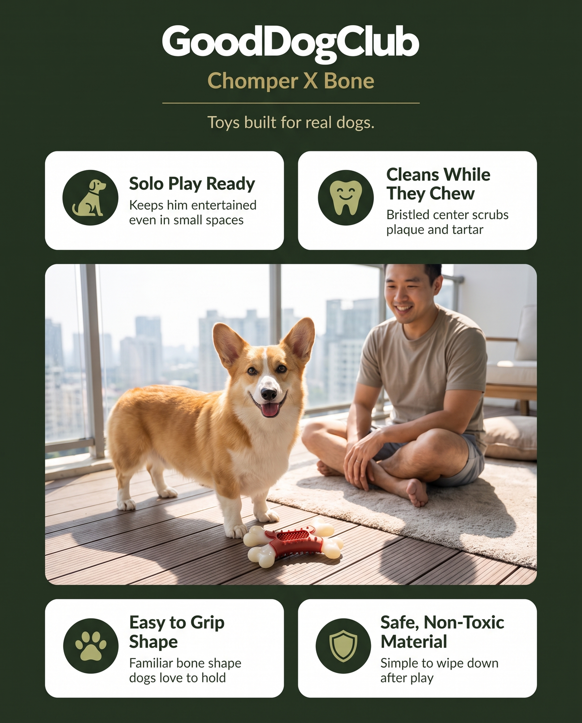 Corgi with Chomper X Bone toy on an apartment balcony, solo play ready 4-benefit ad graphic