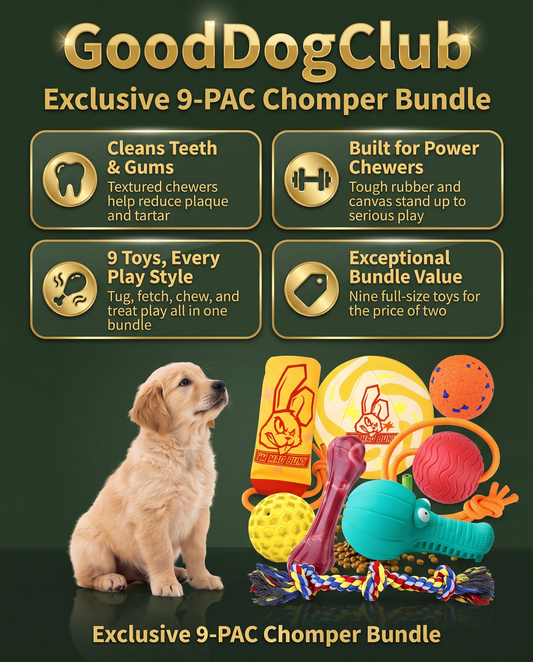 GoodDogClub Exclusive 9-PAC Chomper Bundle shiny gold infographic — cleans teeth, built for power chewers, 9 toys every play style, exceptional bundle value