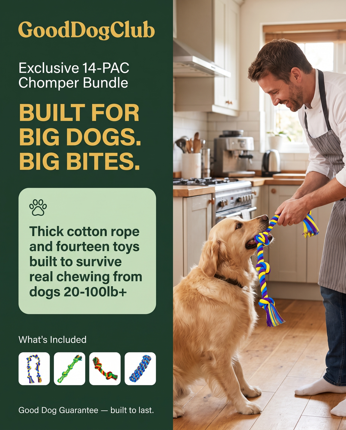14-PAC Chomper Bundle quote-callout panel ad, Golden Retriever