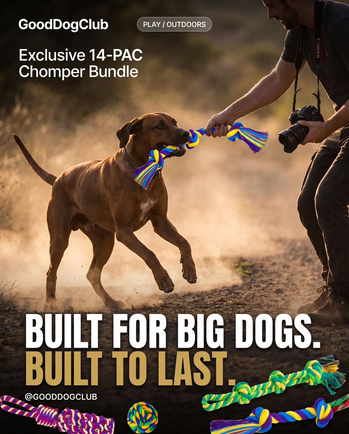 14-PAC Chomper Bundle bold minimal poster ad, Rhodesian Ridgeback