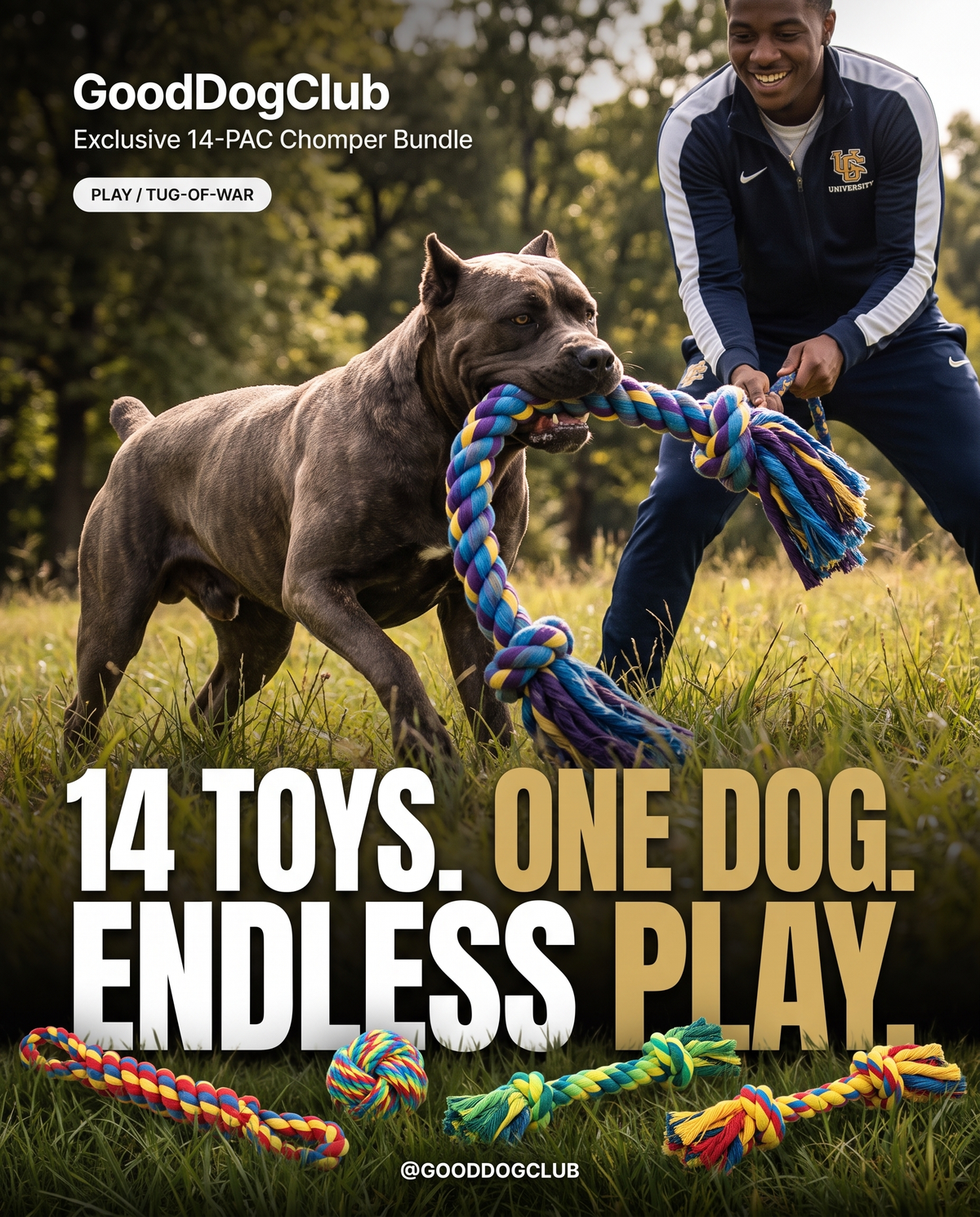 14-PAC Chomper Bundle bold minimal poster ad, Cane Corso