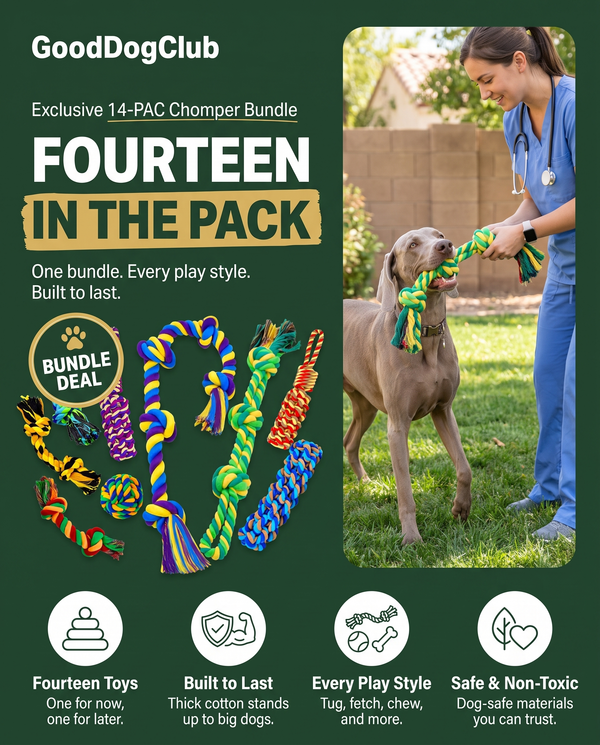 14-PAC Chomper Bundle bundle-deal badge ad, Weimaraner