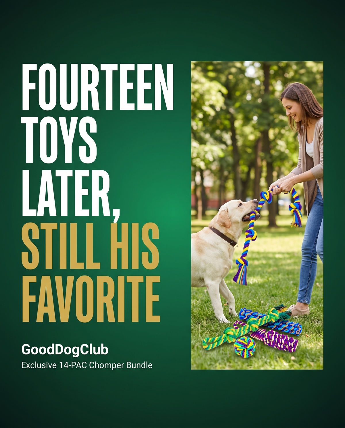 14-PAC Chomper Bundle bold statement ad, Labrador Retriever