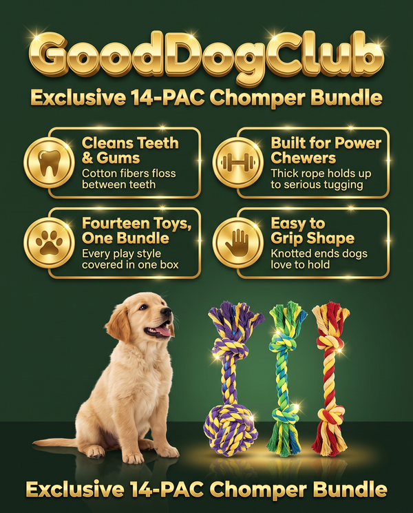 GoodDogClub Exclusive 14-PAC Chomper Bundle gold infographic with benefits