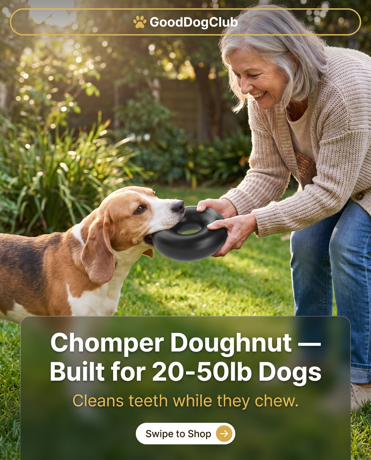 Chomper Doughnut Instagram story ad, Beagle tug-of-war