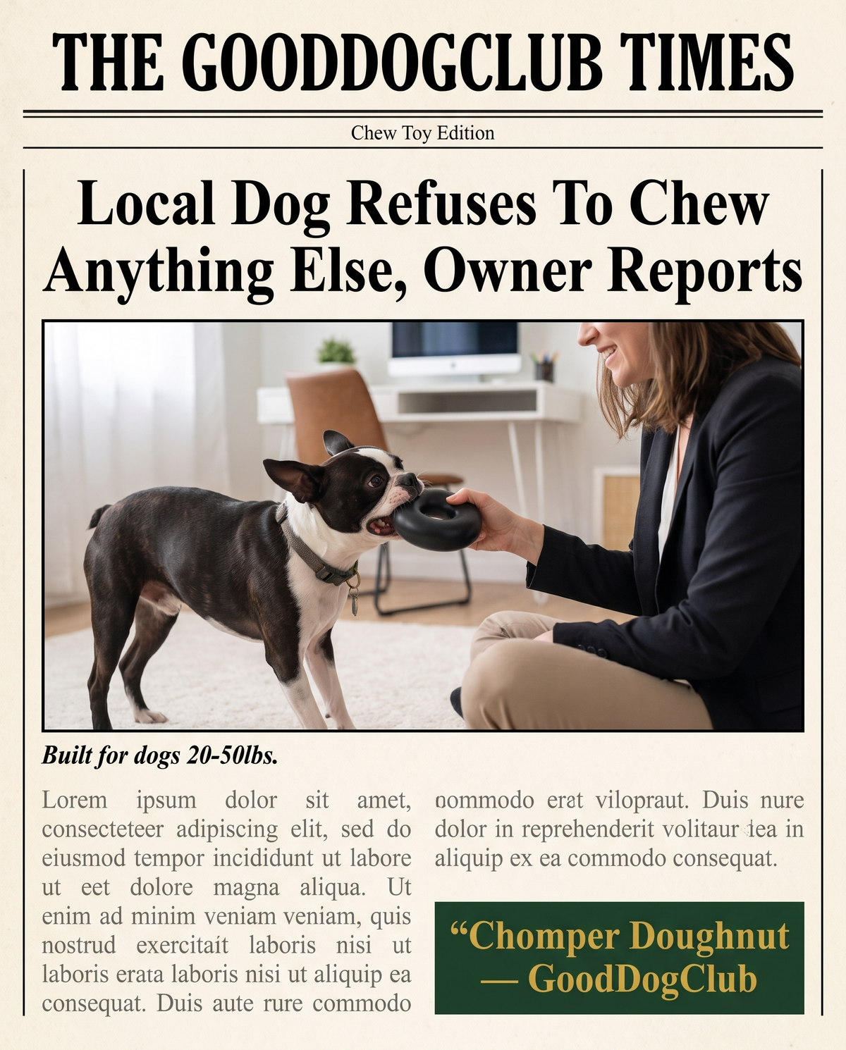 Chomper Doughnut newspaper clipping ad, Boston Terrier tug-of-war
