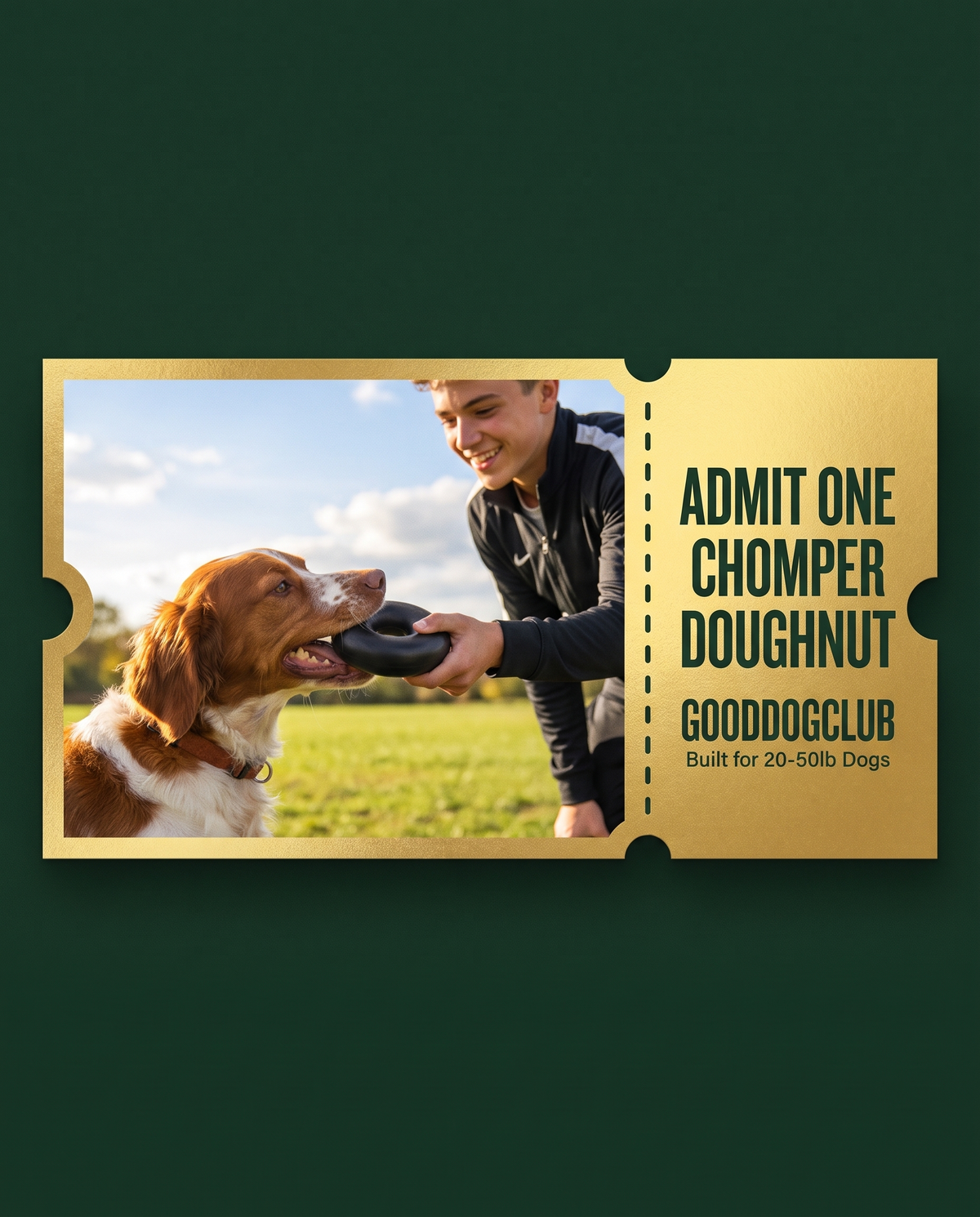 Chomper Doughnut golden ticket ad, Brittany Spaniel tug-of-war