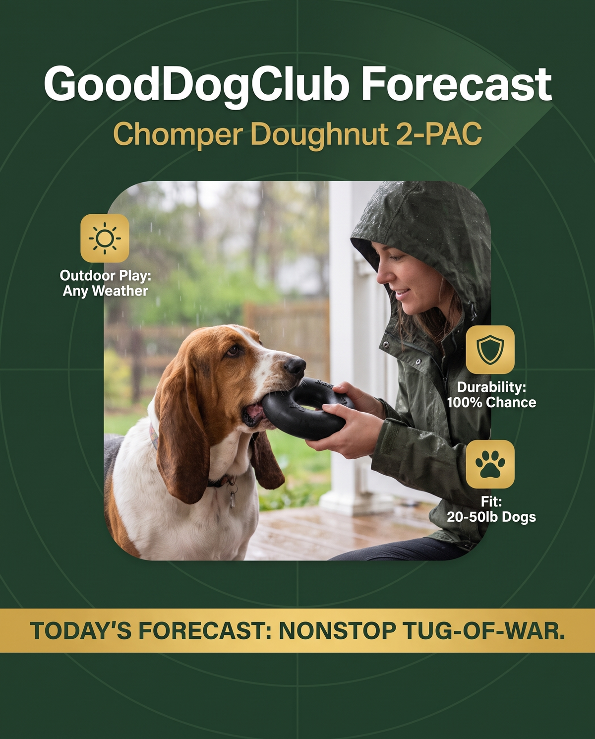 Chomper Doughnut weather-forecast parody ad, Basset Hound tug-of-war