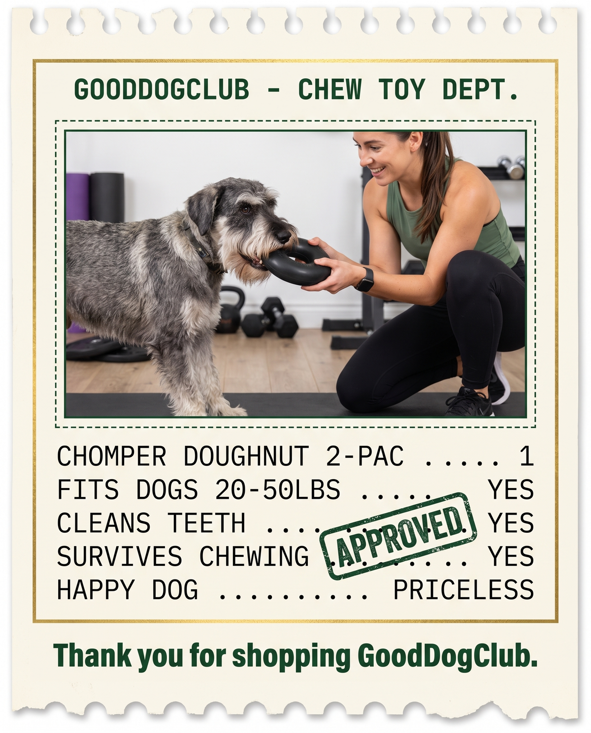Chomper Doughnut receipt parody ad, Standard Schnauzer tug-of-war