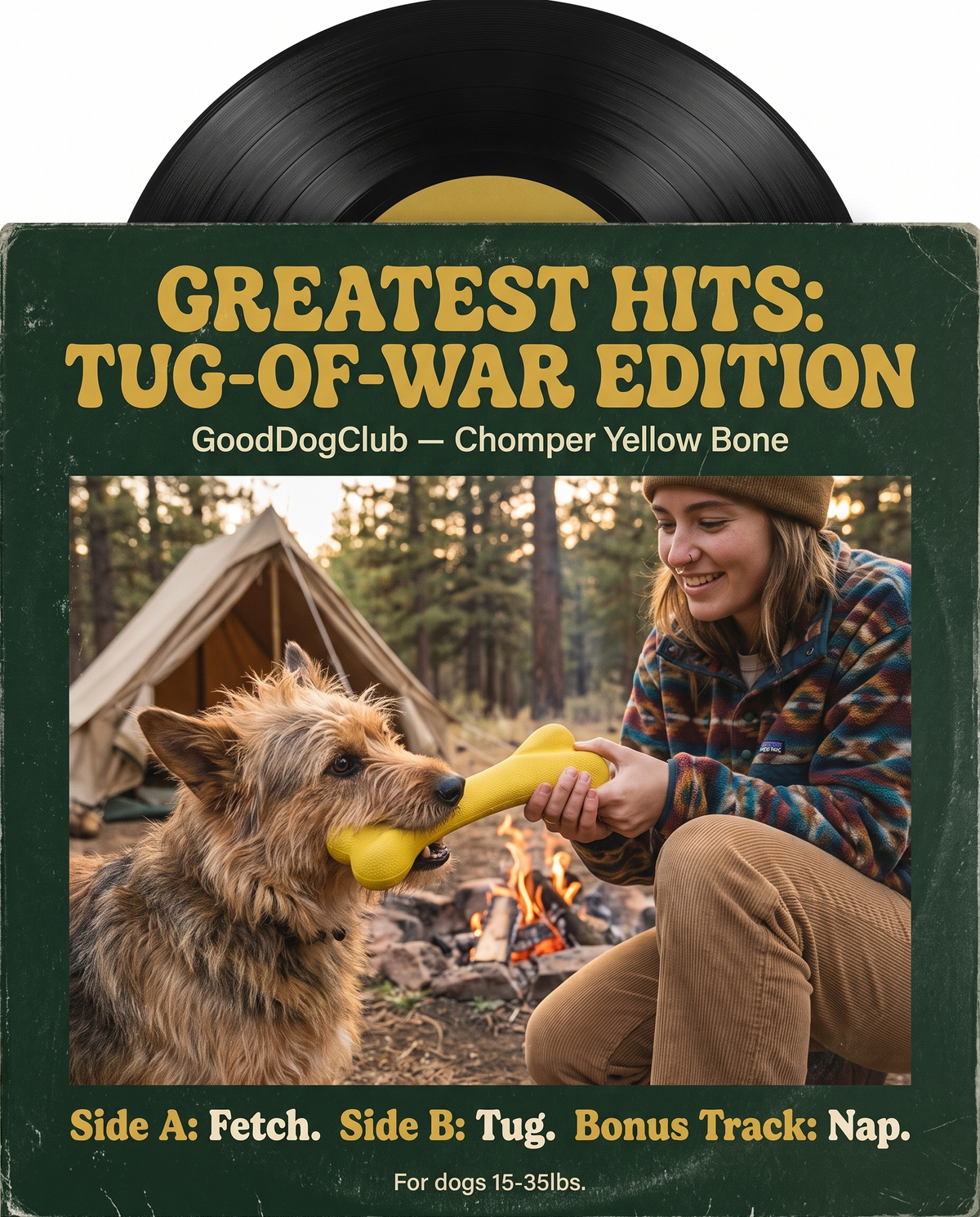 Chomper Yellow Bone vinyl record sleeve ad, Australian Terrier tug-of-war