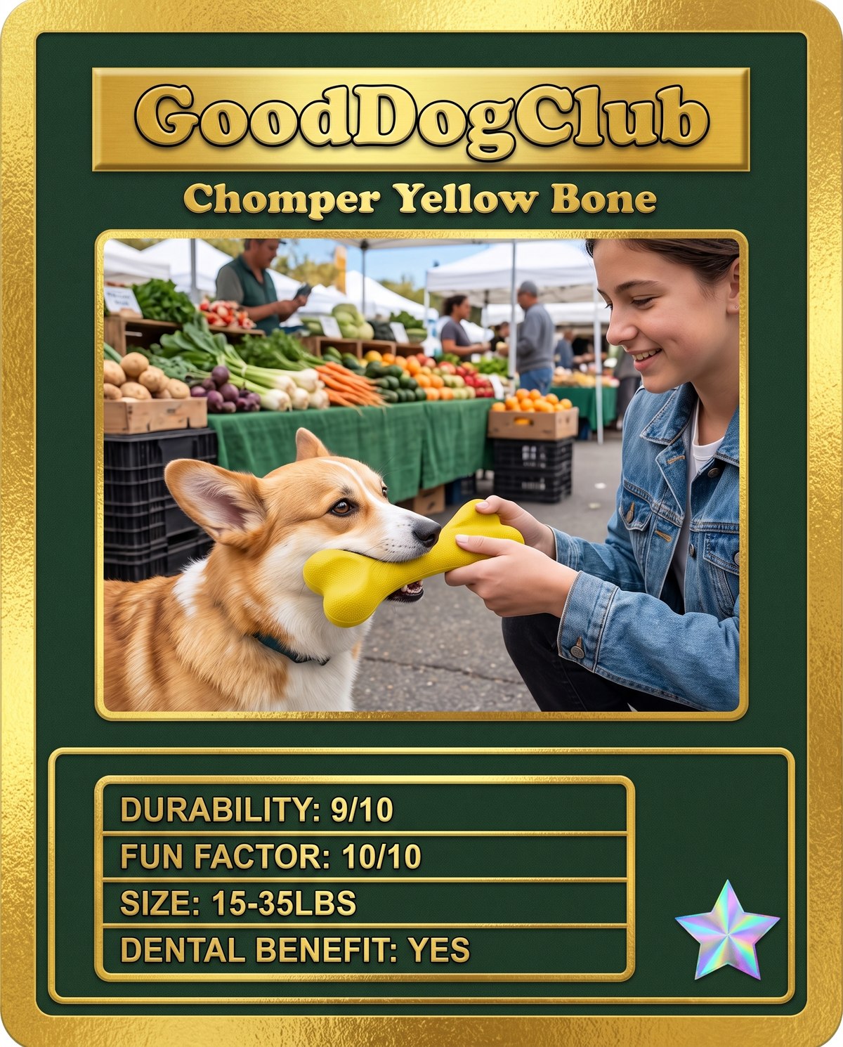 Chomper Yellow Bone trading card style ad, Corgi tug-of-war