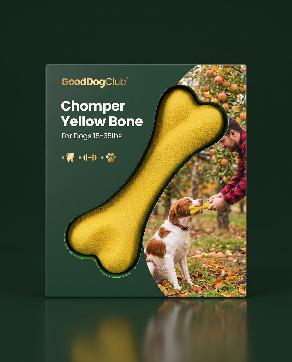 Chomper Yellow Bone 3D packaging mockup ad, Brittany Spaniel tug-of-war