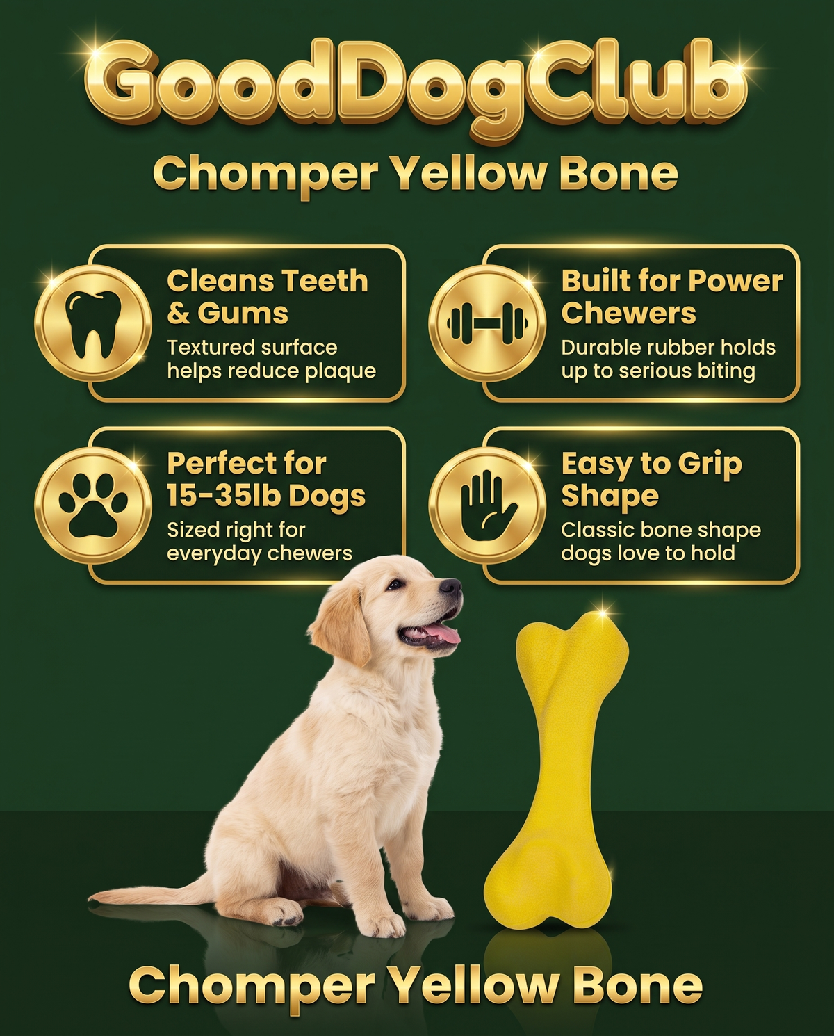 GoodDogClub Chomper Yellow Bone gold infographic with benefits