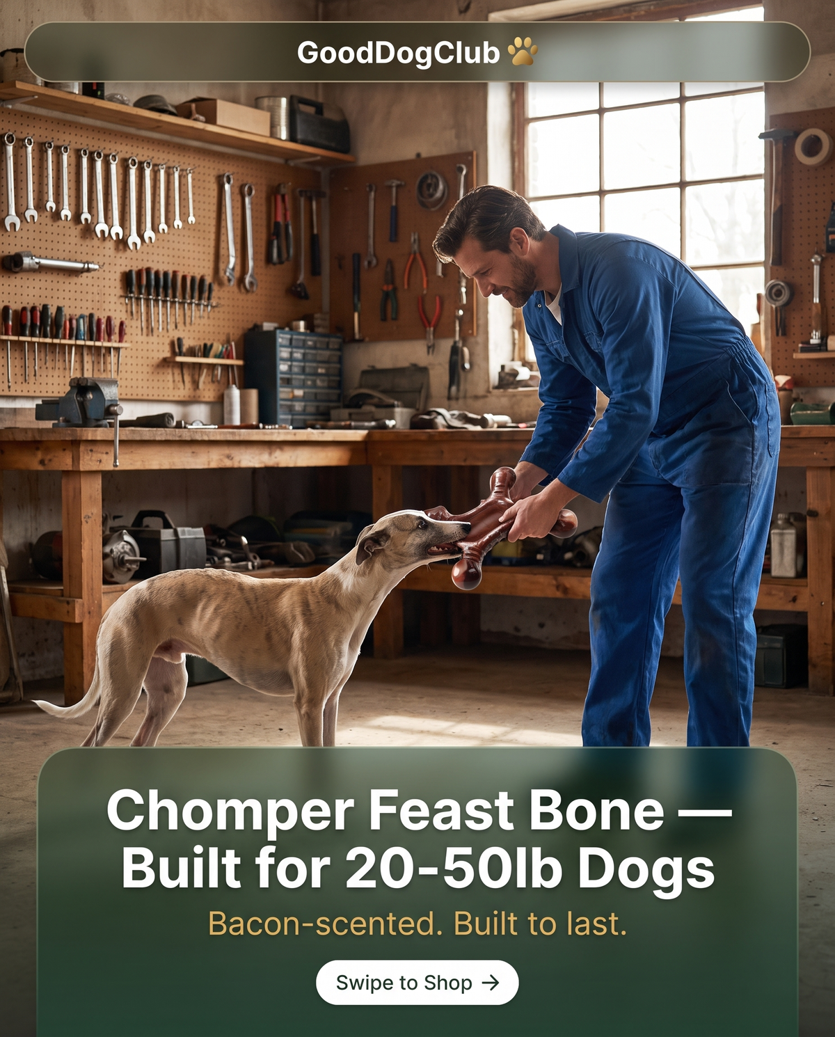 Chomper Feast Bone Instagram story ad, Whippet garage