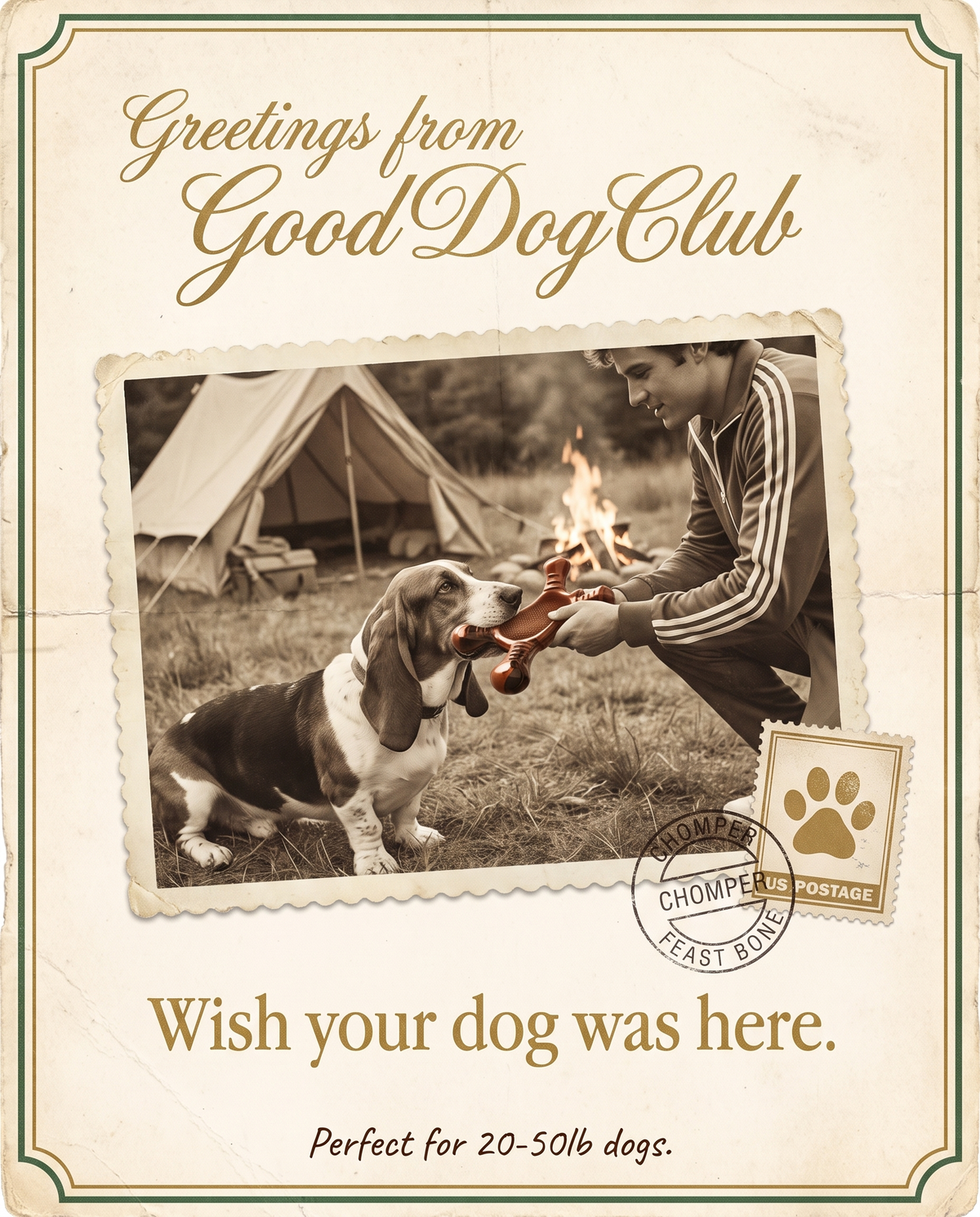 Chomper Feast Bone vintage postcard ad, Basset Hound campsite