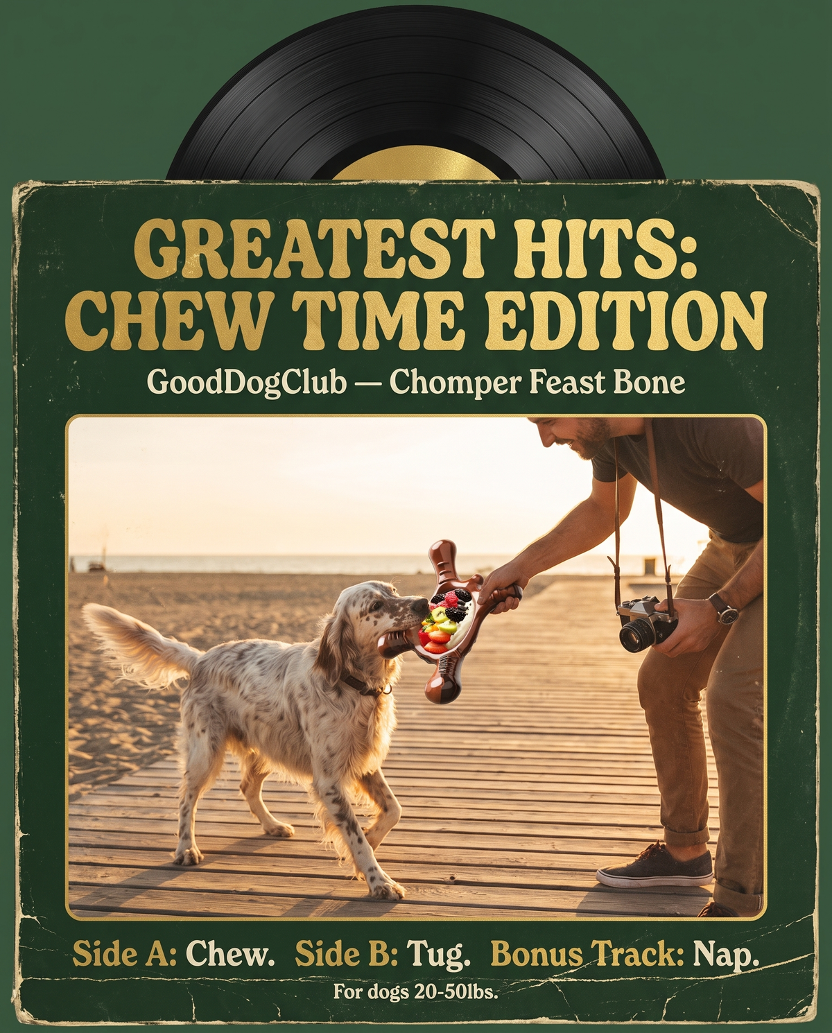 Chomper Feast Bone vinyl record sleeve ad, English Setter beach boardwalk