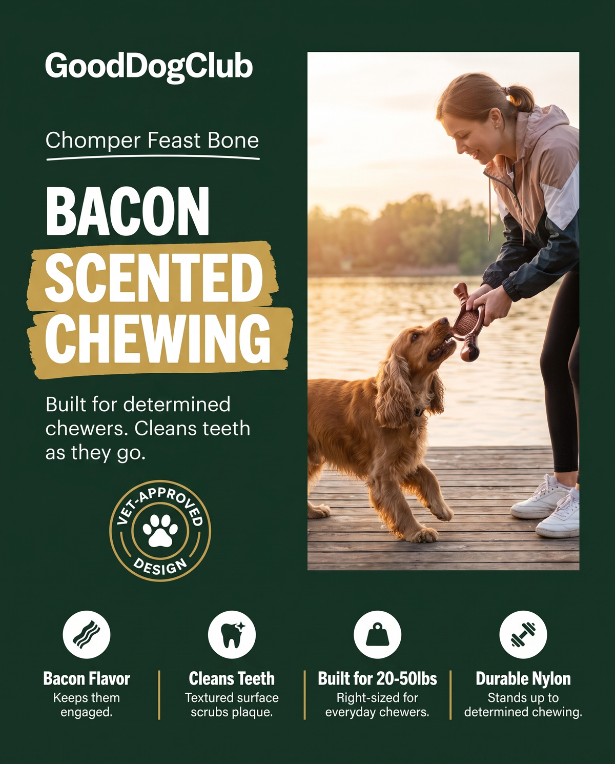 Chomper Feast Bone bundle badge ad, Cocker Spaniel lake dock
