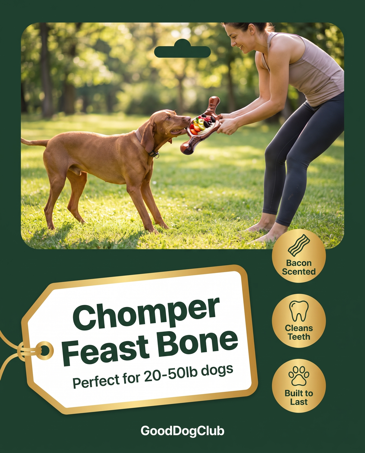 Chomper Feast Bone hang-tag ad, Vizsla park bench