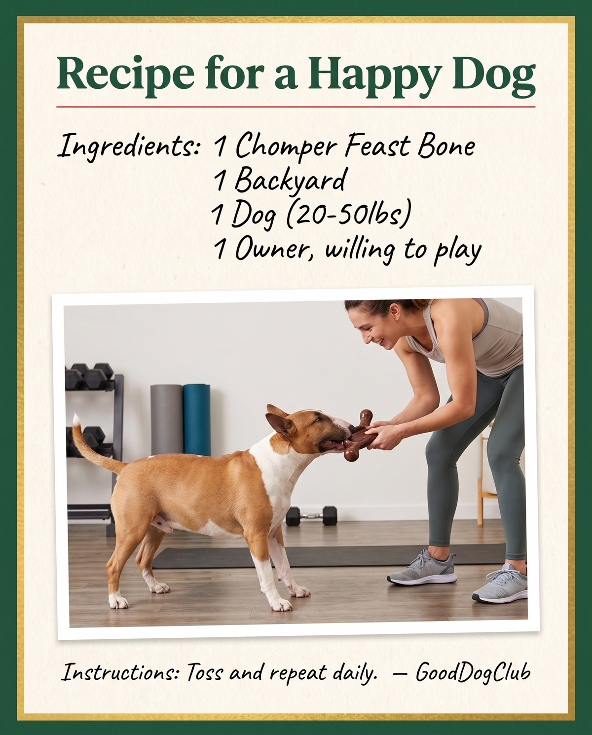 Chomper Feast Bone recipe card ad, Bull Terrier home gym