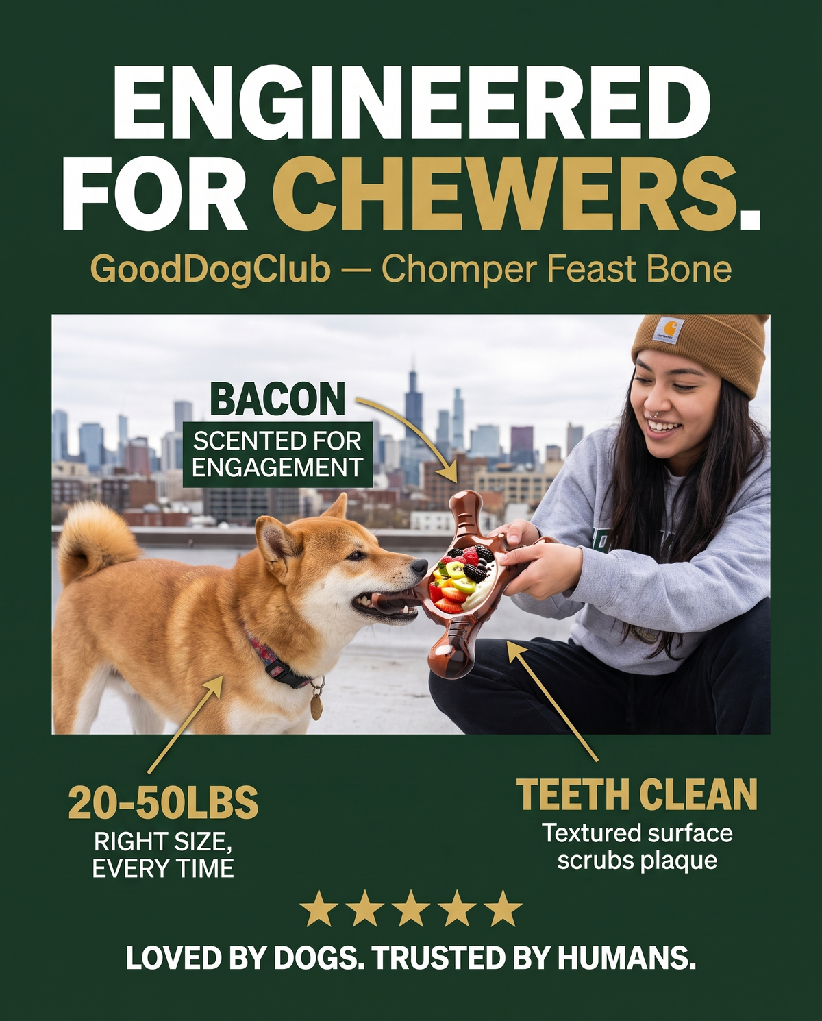 Chomper Feast Bone stat-callout poster ad, Shiba Inu rooftop