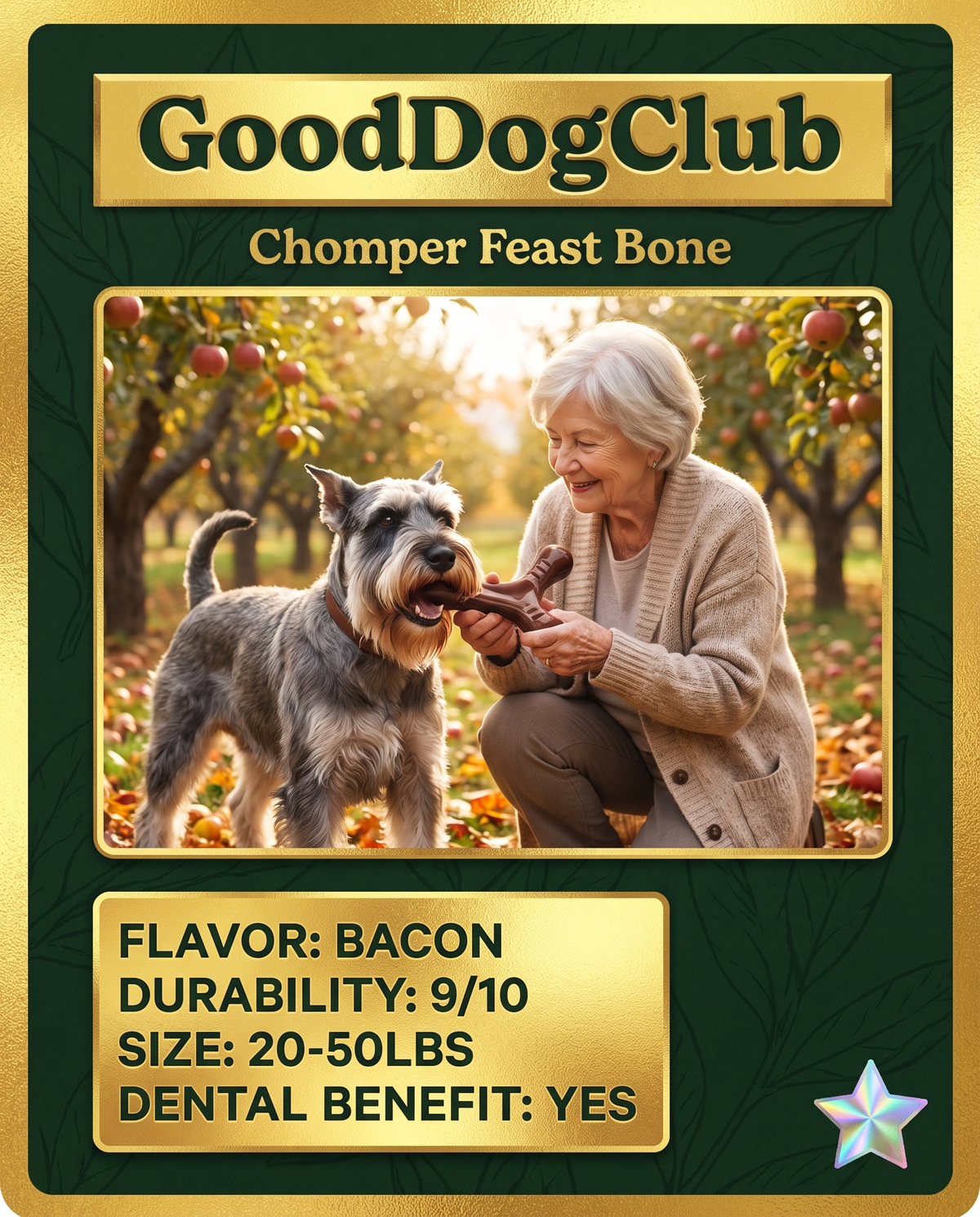 Chomper Feast Bone trading card ad, Standard Schnauzer orchard